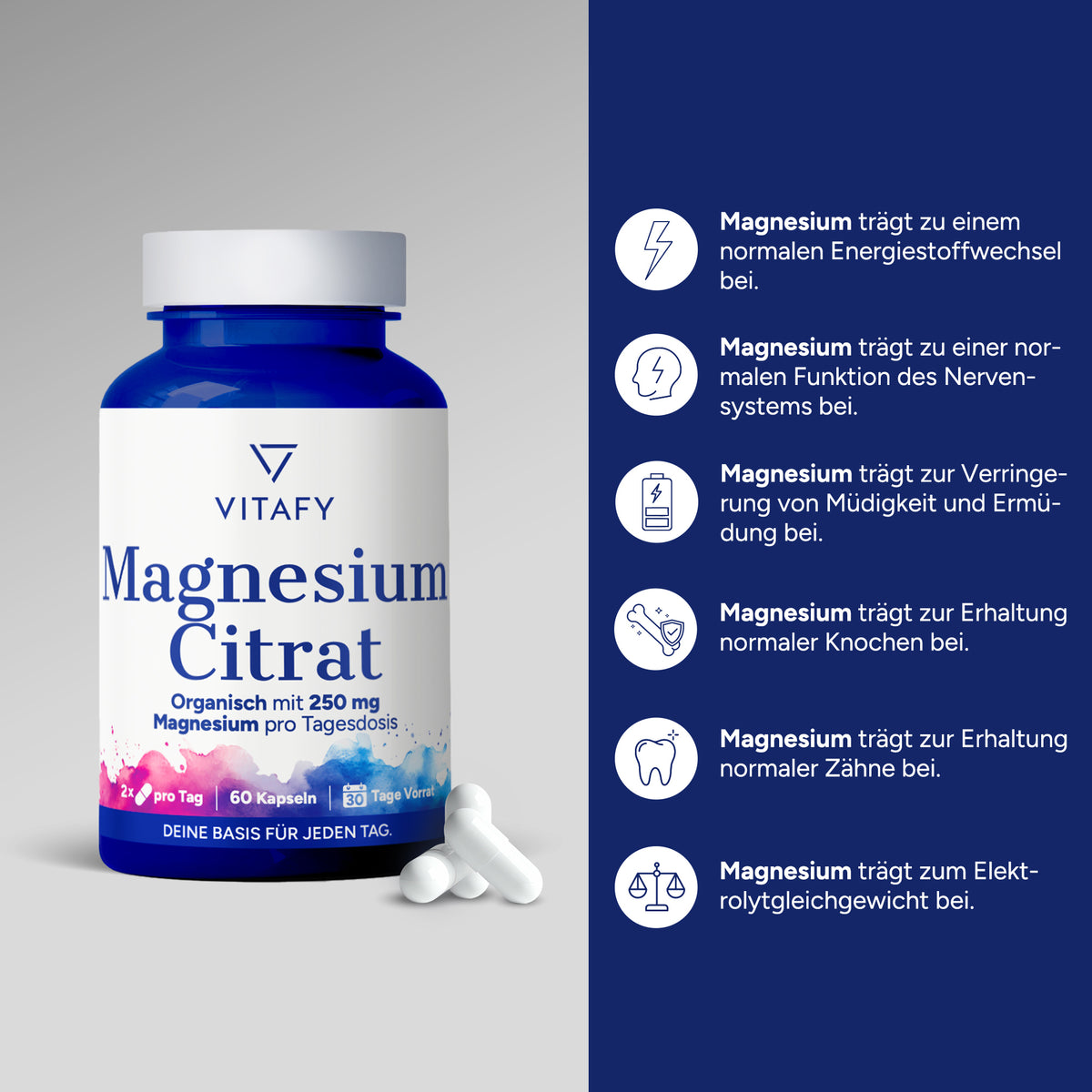 Magnesium Citrat (60 Kapseln)