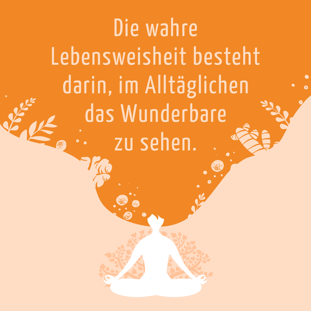Pink Drink Bio (6 Flaschen)