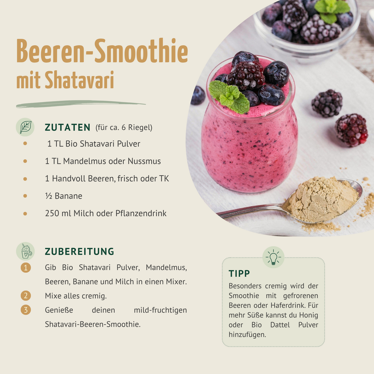 Shatavari Pulver Bio (500g)