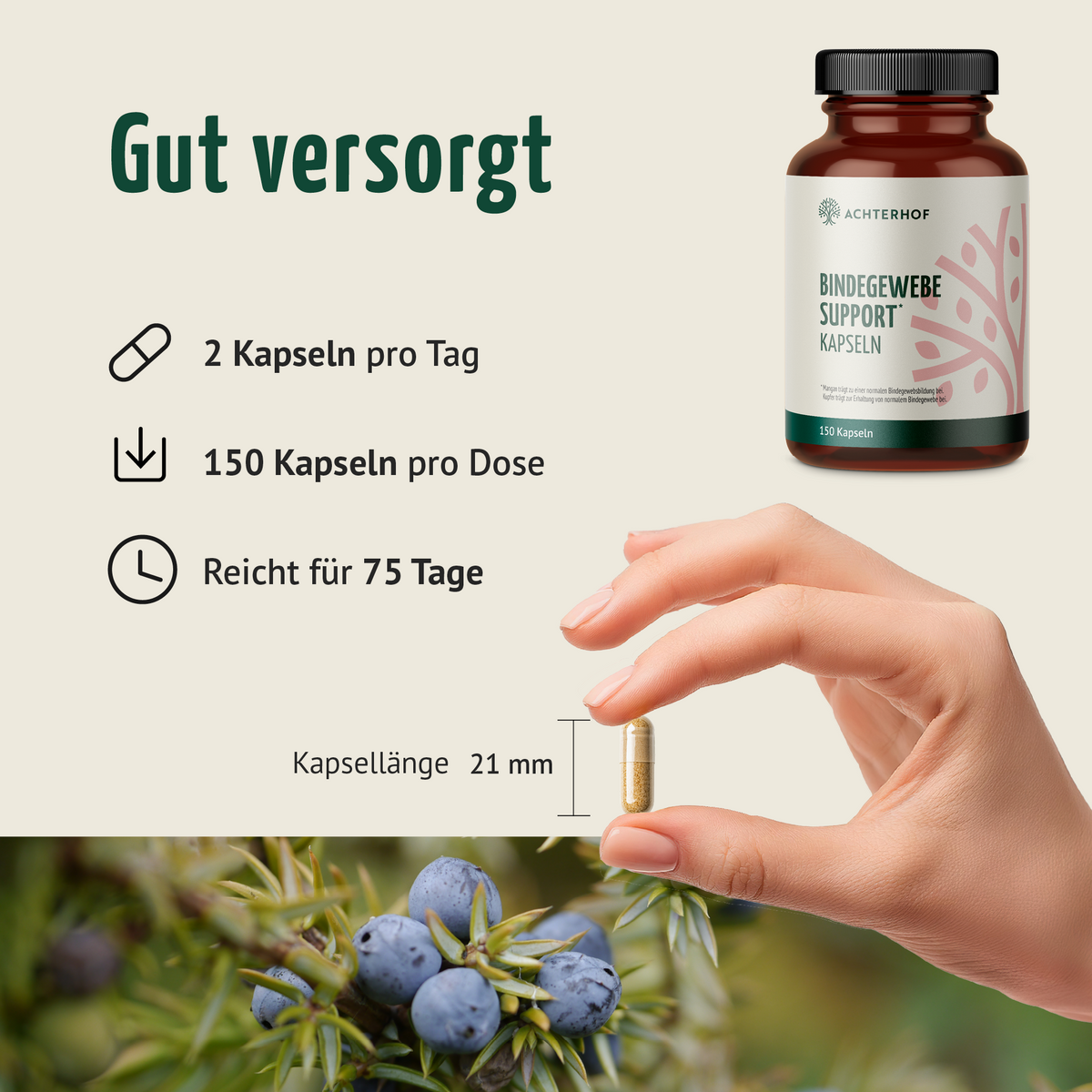 Bindegewebe Support Kapseln (180 Kapseln)