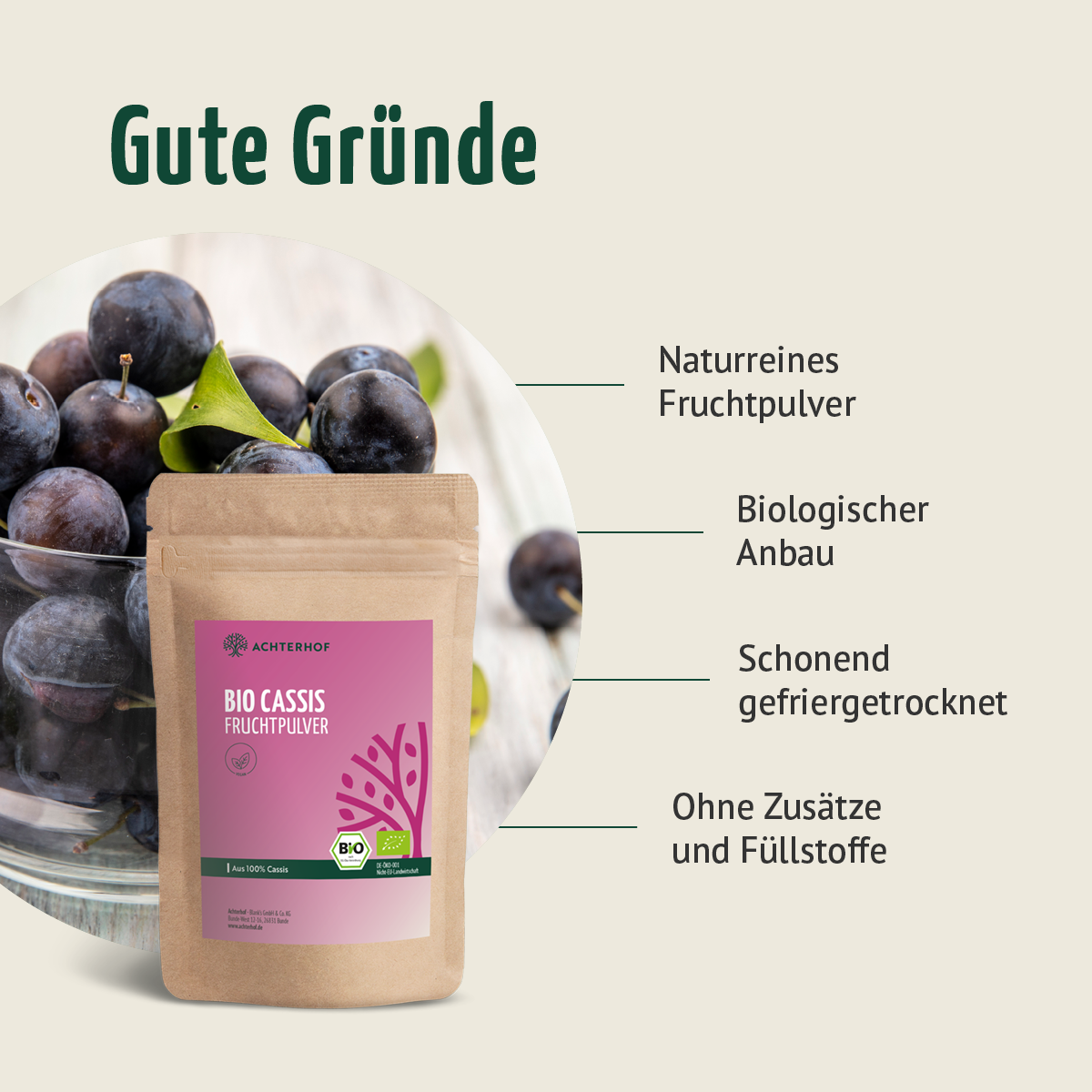 Bio Cassis Fruchtpulver (100g)