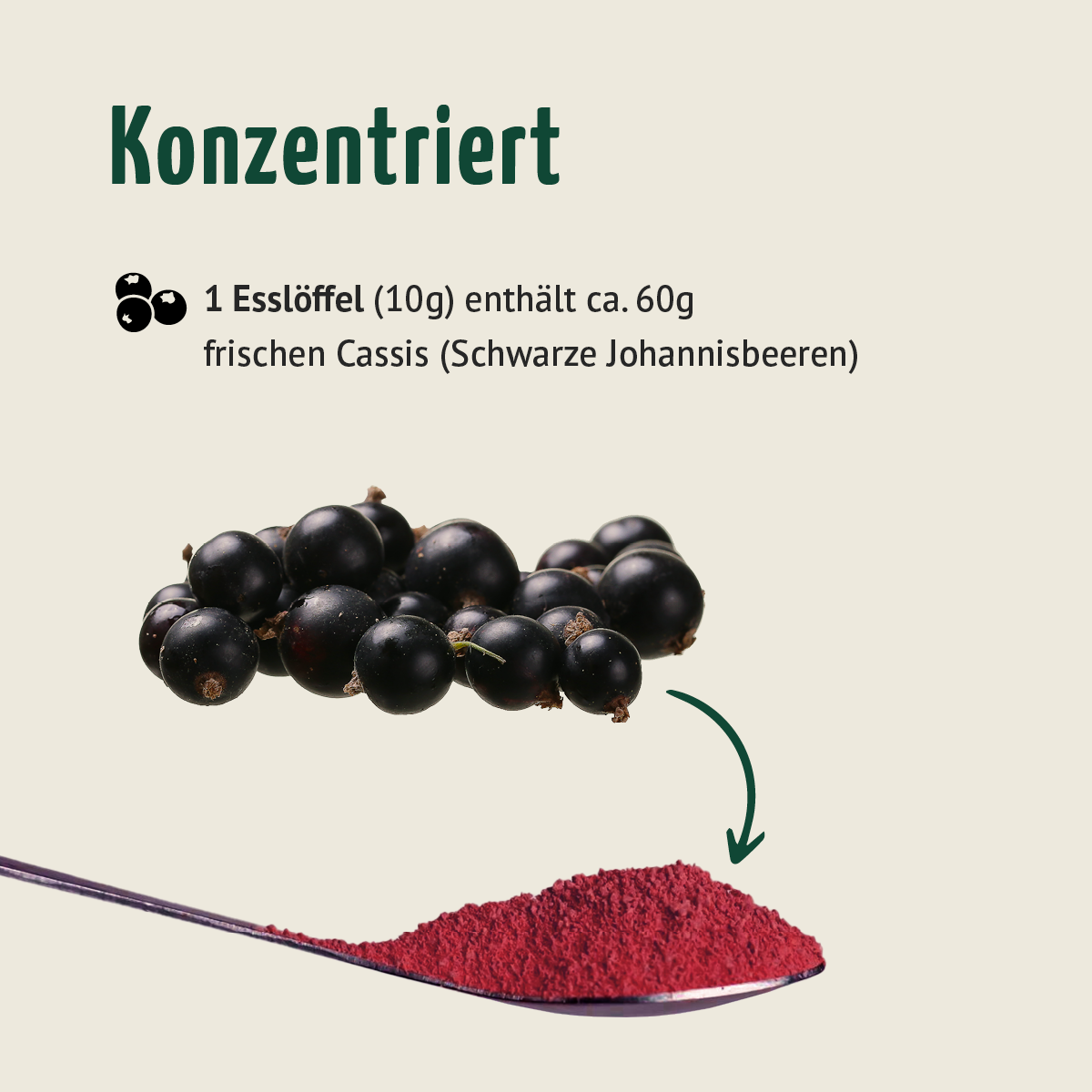 Bio Cassis Fruchtpulver (250g)