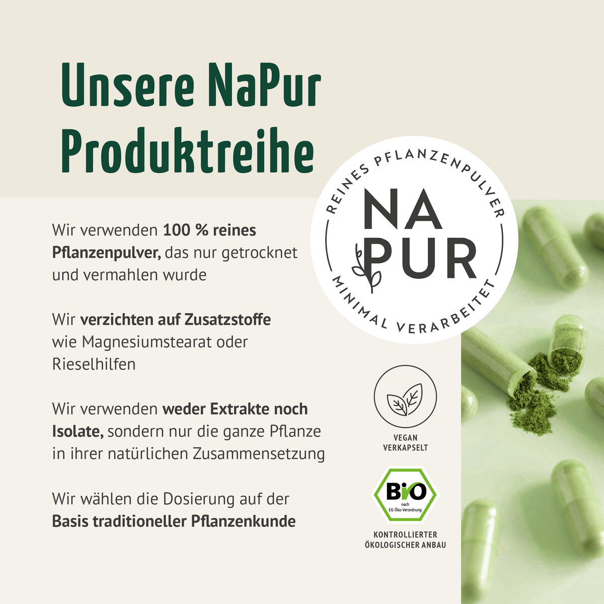 Gerstengras Kapseln Bio Nachfüllpack (400 Kapseln)