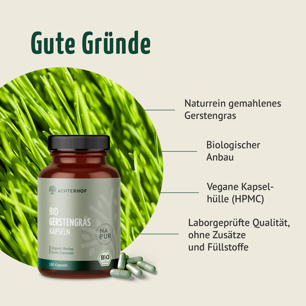 Gerstengras Kapseln Bio (180 Kapseln)