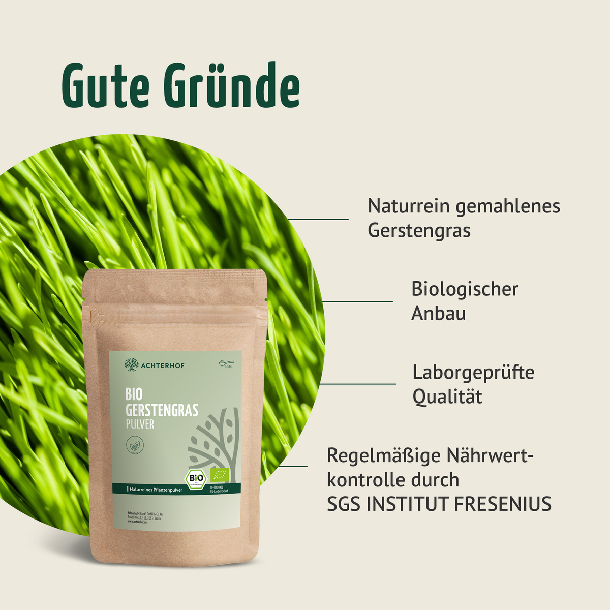 Gerstengras Pulver Bio (1000g)
