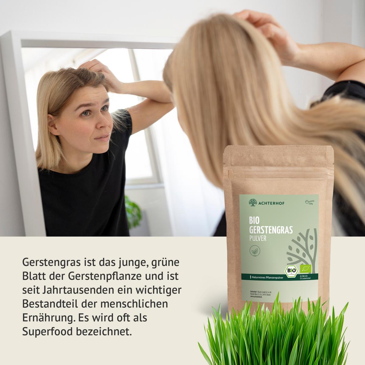 Gerstengras Pulver Bio (1000g)