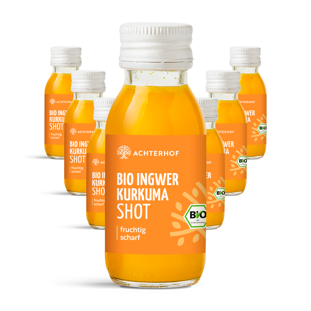 Fastendrinks 6 Flaschen Kräuterwunder Bio
