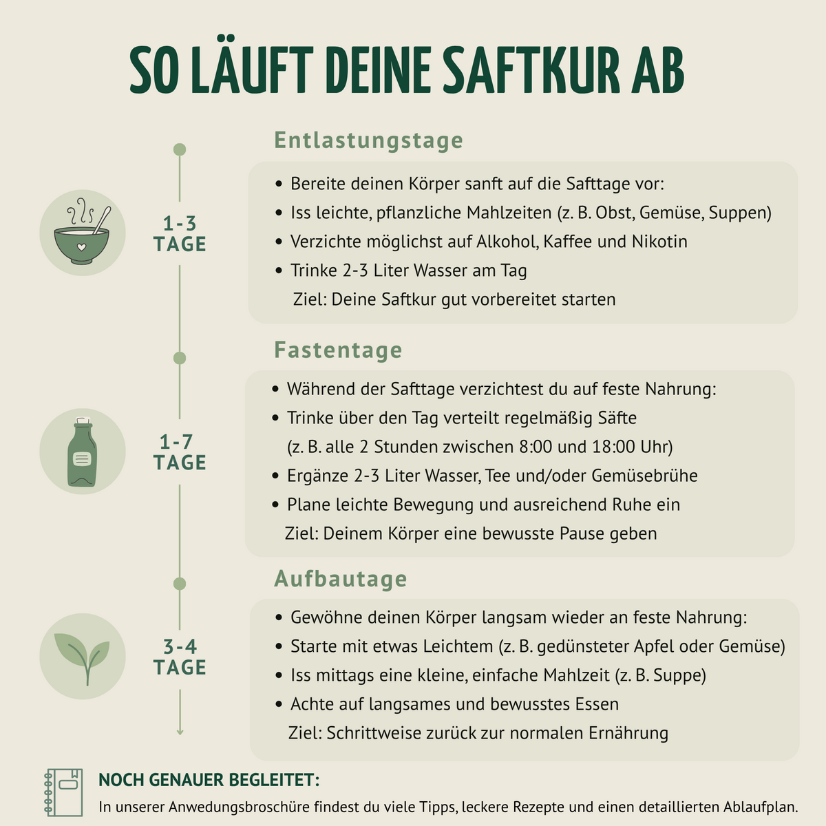 Kräuterwunder Bio Fastenkur 3 Tage (18 Flaschen)