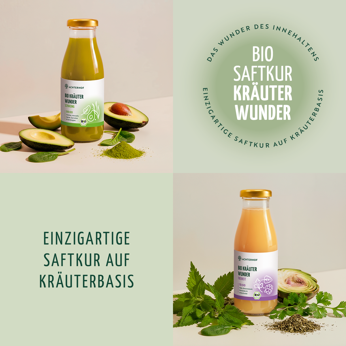 Kräuterwunder Bio Fastenkur 3 Tage (18 Flaschen)
