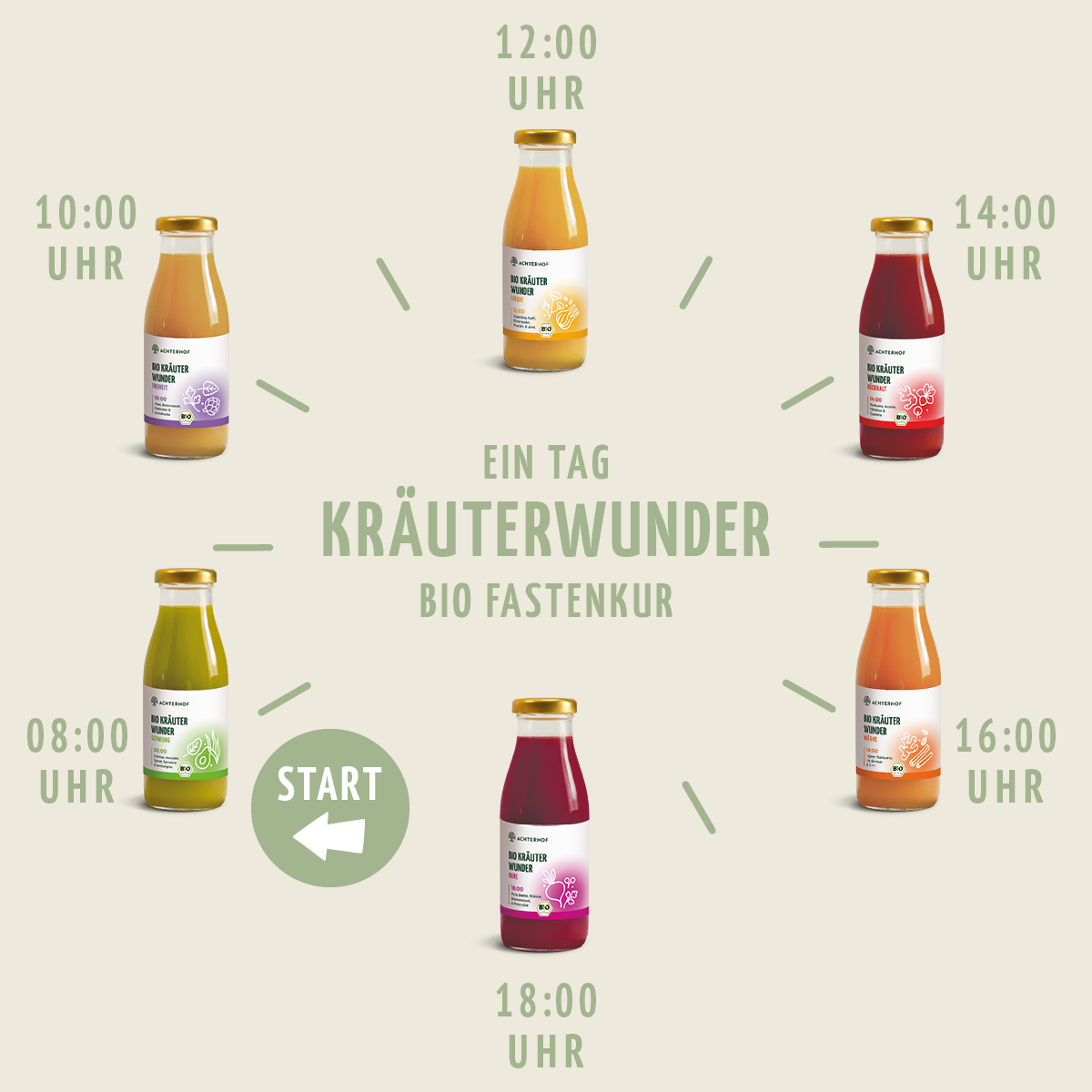 Kräuterwunder Bio Fastenkur 5 Tage (30 Flaschen)
