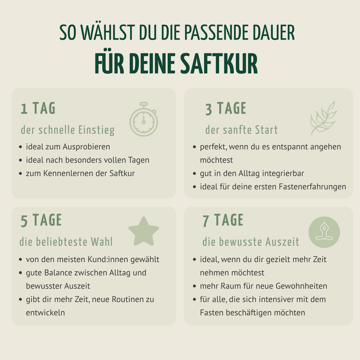 Kräuterwunder Bio Fastenkur 3 Tage (18 Flaschen)
