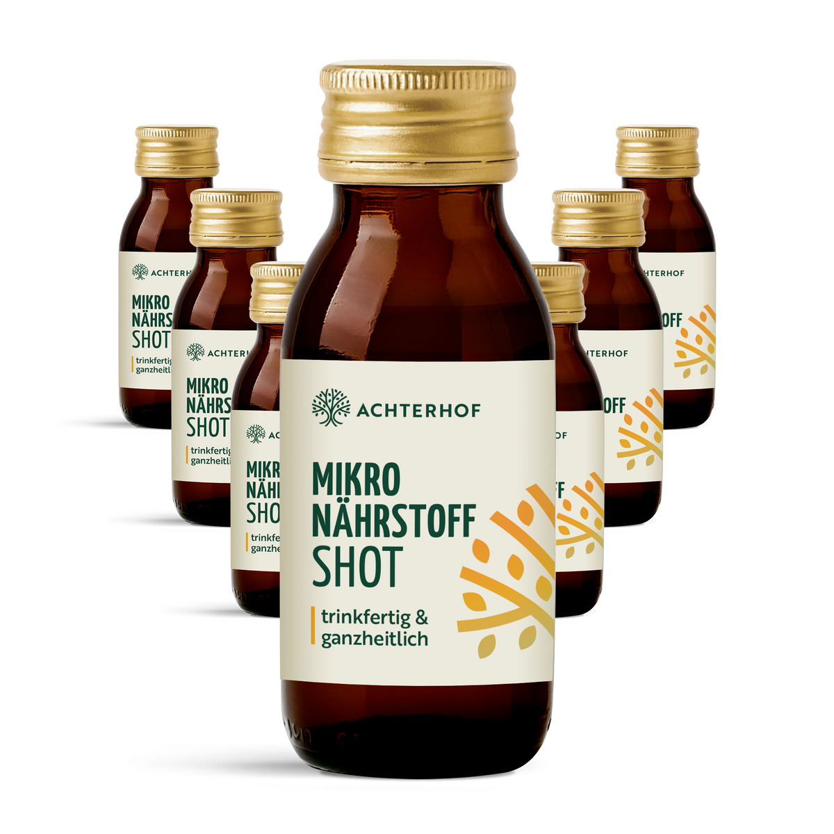 Fastendrinks 6 Flaschen Kräuterwunder Bio
