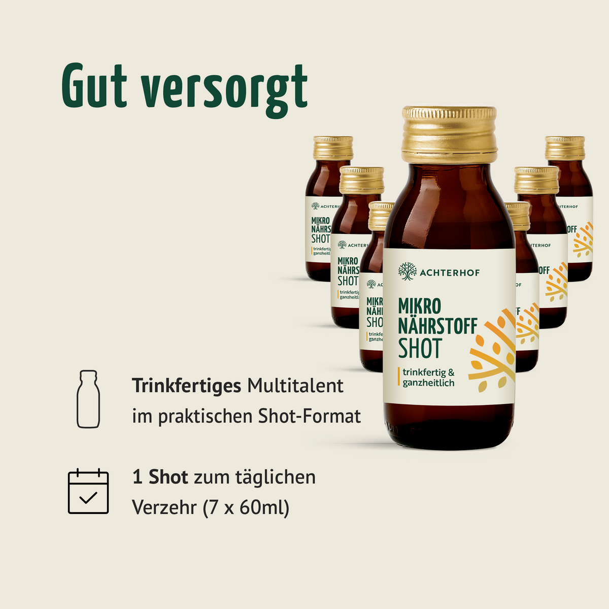 Fastendrinks 6 Flaschen Kräuterwunder Bio