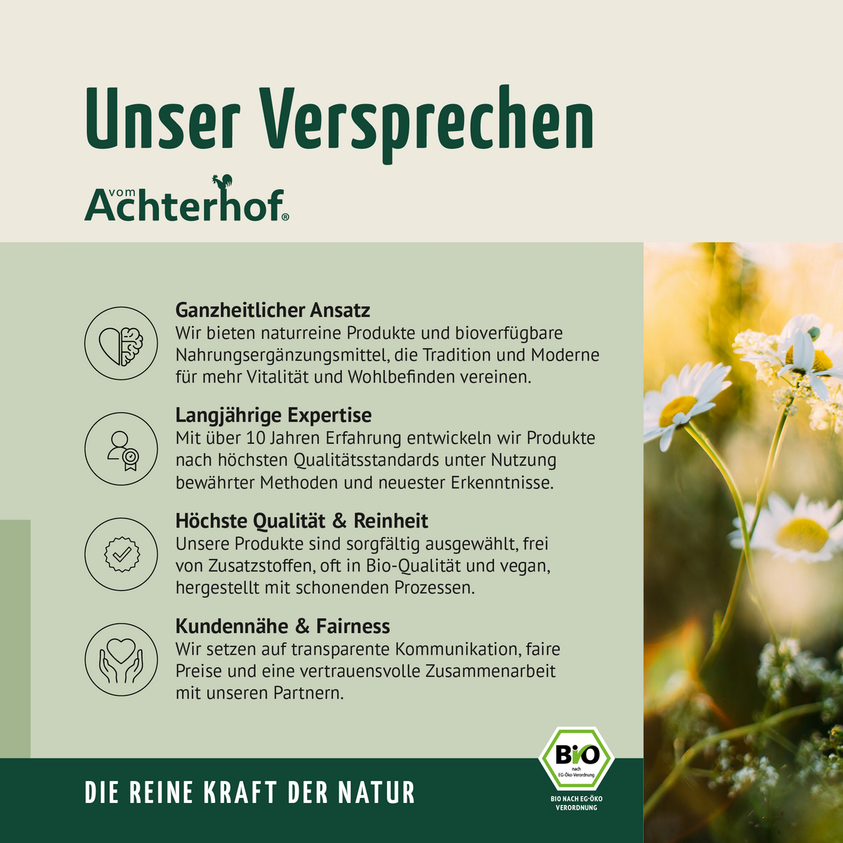 Bio Reishi Pilzpulver (250g)