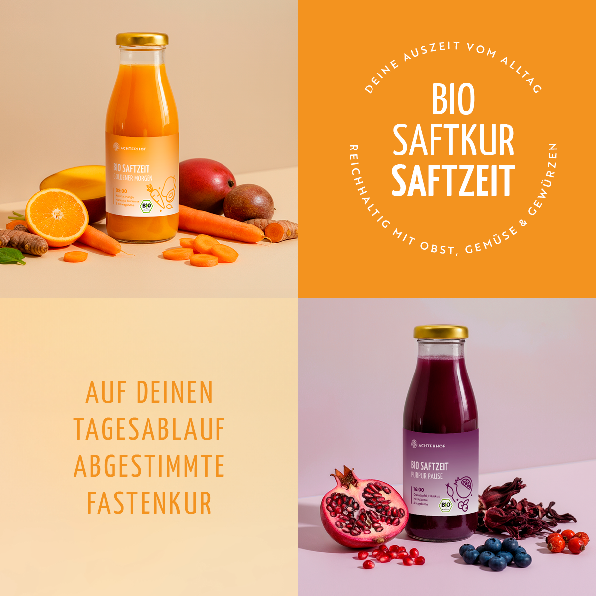 Saftzeit Bio Fastenkur 5 Tage (30 Flaschen)