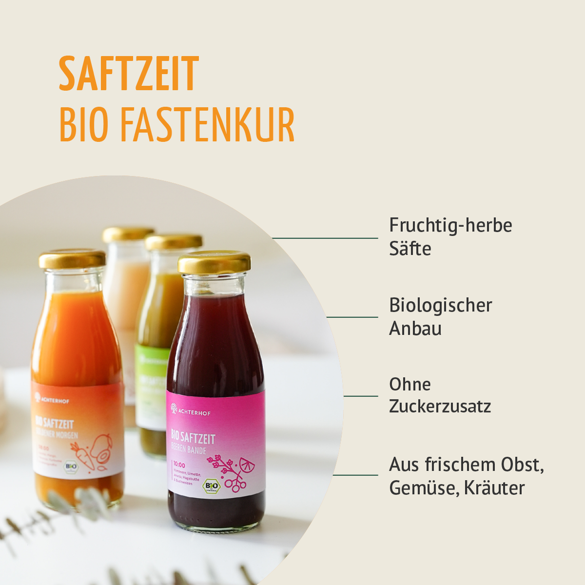 Saftzeit Bio Fastenkur 3 Tage (18 Flaschen)