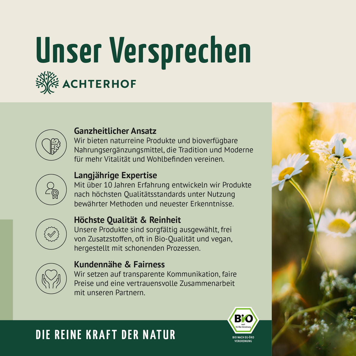 Bio Erdbeere Fruchtpulver (100g)