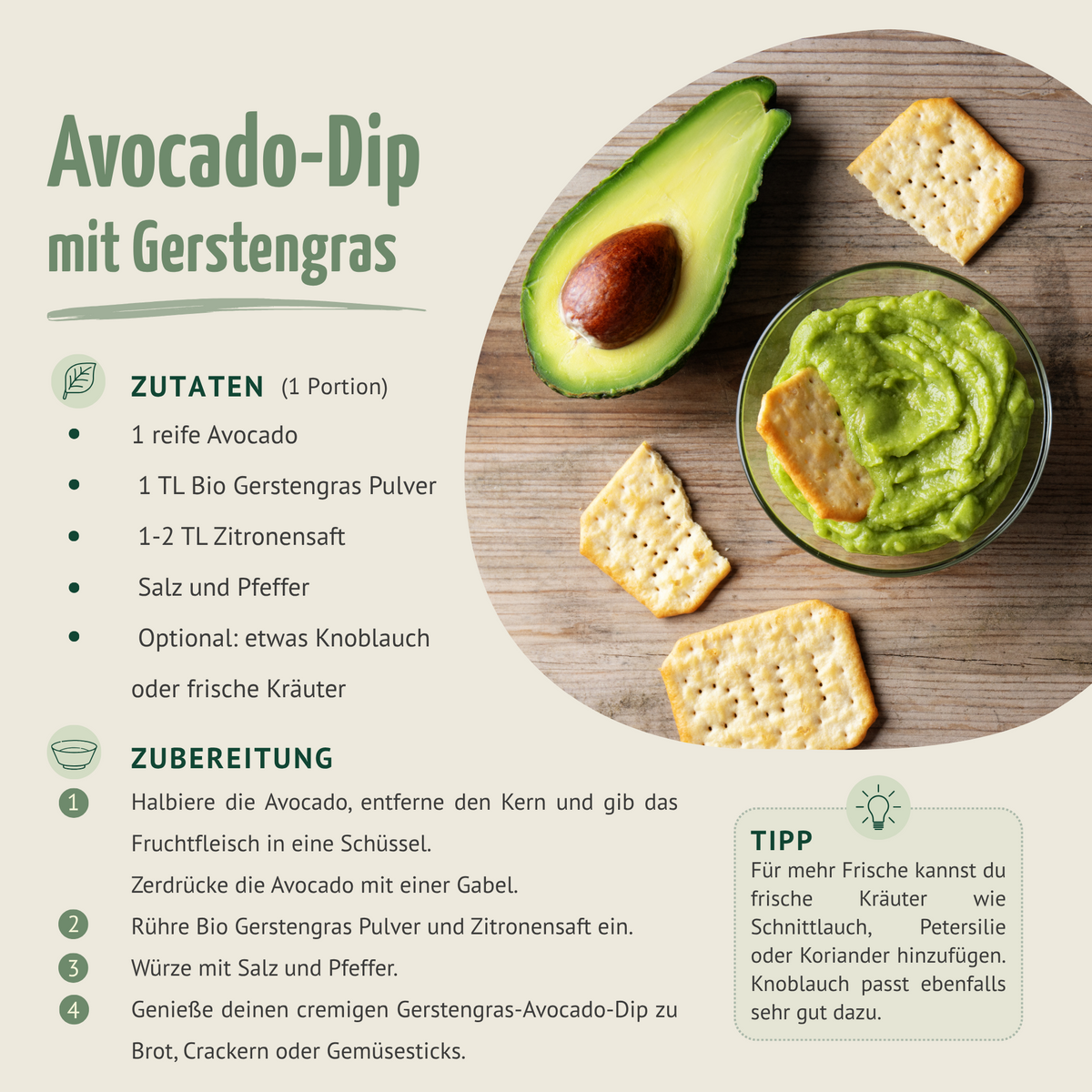Gerstengras Pulver Bio (500g)