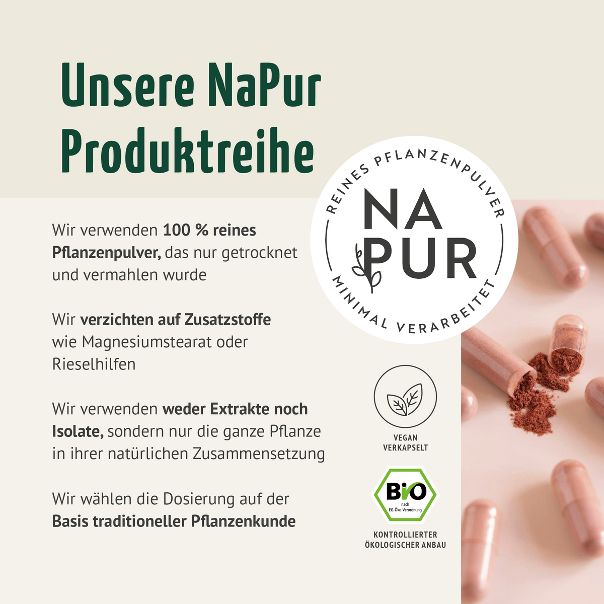 Hagebutten Kapseln Bio (180 Kapseln)