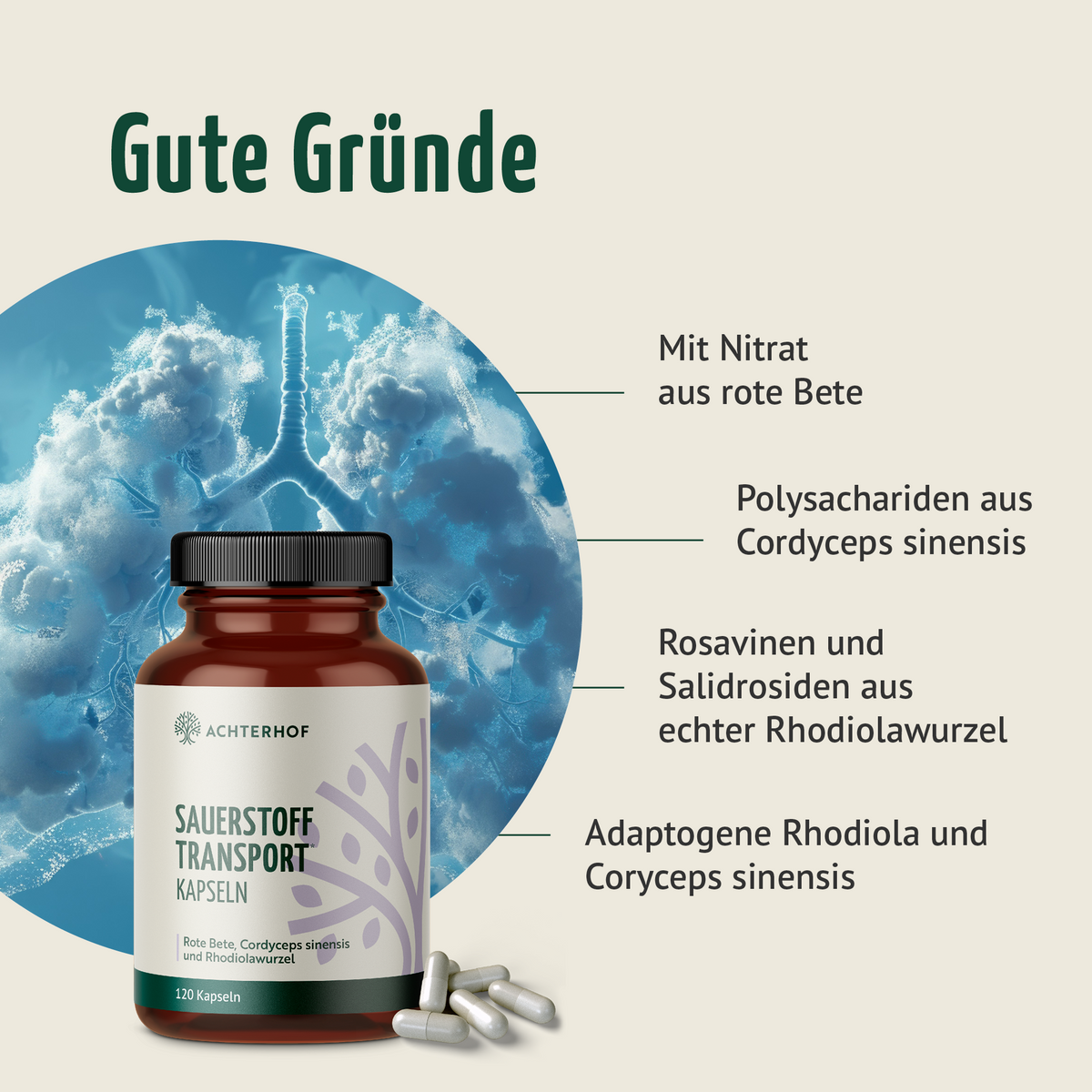 Sauerstoff Transport Kapseln (120 Kapseln)