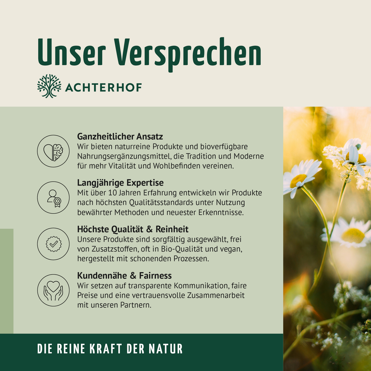 Vitamin C Kapseln (180 Kapseln)