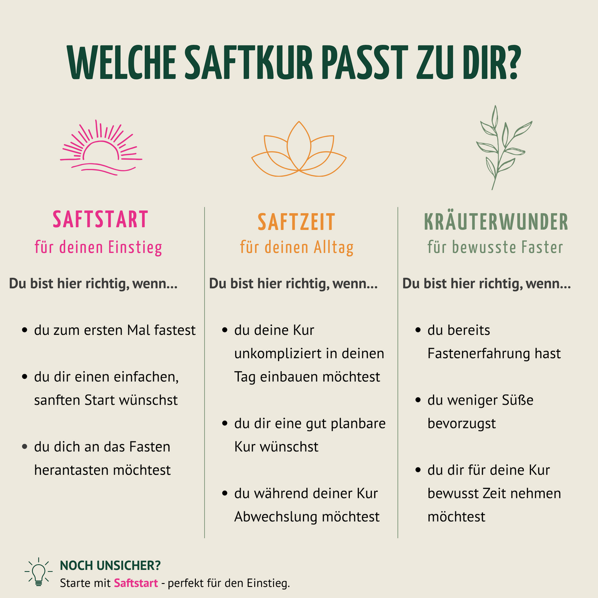 Saftzeit Bio Fastenkur 5 Tage (30 Flaschen)